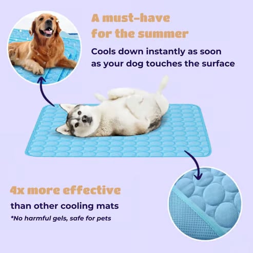 🐶Dog Cooling Mat (4x More Effective)