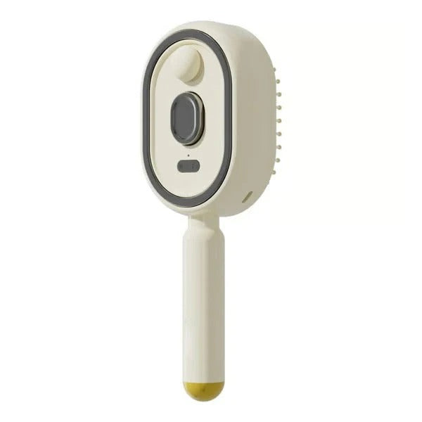 🪮Highly Recommended: Electric Spray Air-Cushion Massage Comb