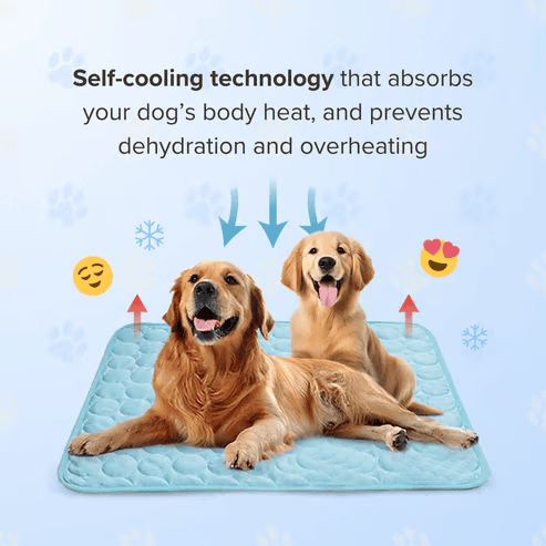 🐶Dog Cooling Mat (4x More Effective)