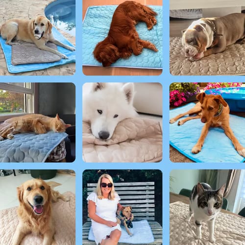 🐶Dog Cooling Mat (4x More Effective)