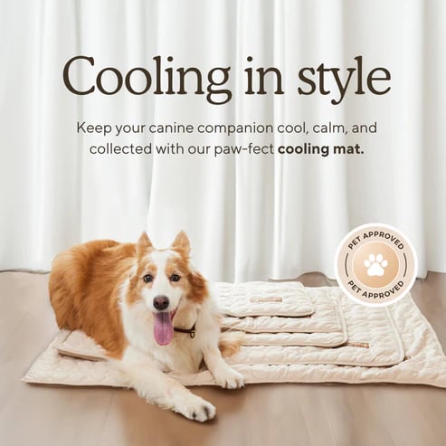 🐶Dog Cooling Mat (4x More Effective)
