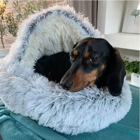 Pet Bed Round Plush