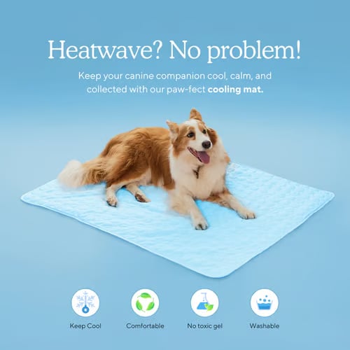 🐶Dog Cooling Mat (4x More Effective)