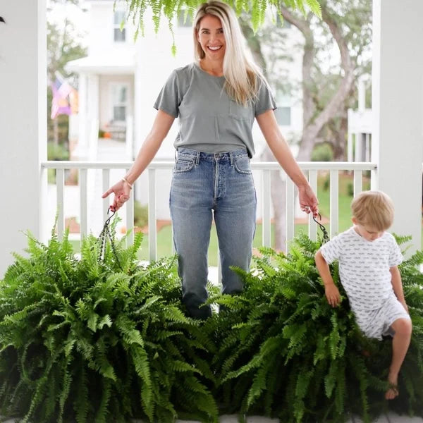 UV Resistant Lifelike Artificial Boston Fern