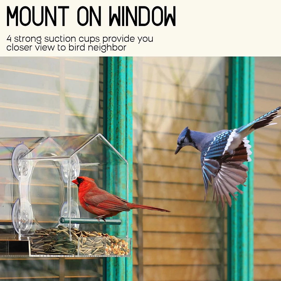Window Bird Feeder For Outside