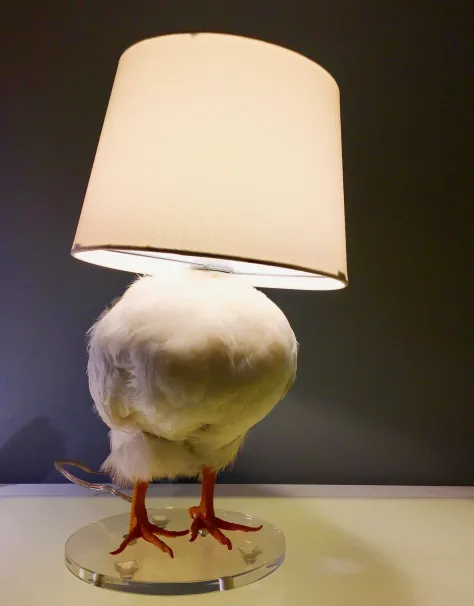 This Taxidermy Chicken Egg Lamp Exists, and We Begrudgingly Love It