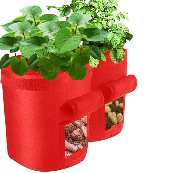 2023 Fruits Vegetables Planting bag