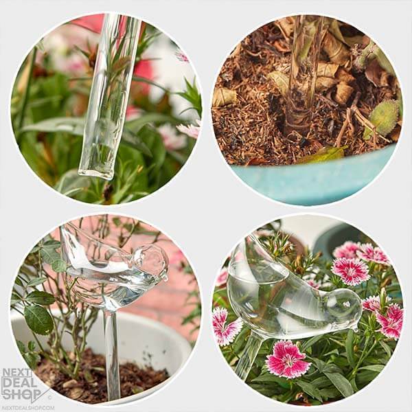 Self-Watering Plant Glass Bulbs-BUY 8 FREE SHIPPING