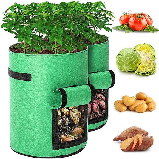 2024 Fruits Vegetables Planting bag