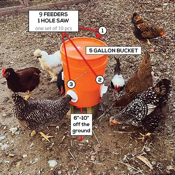 (🔥2023 NEW-50% OFF)DIY Chicken Feeder