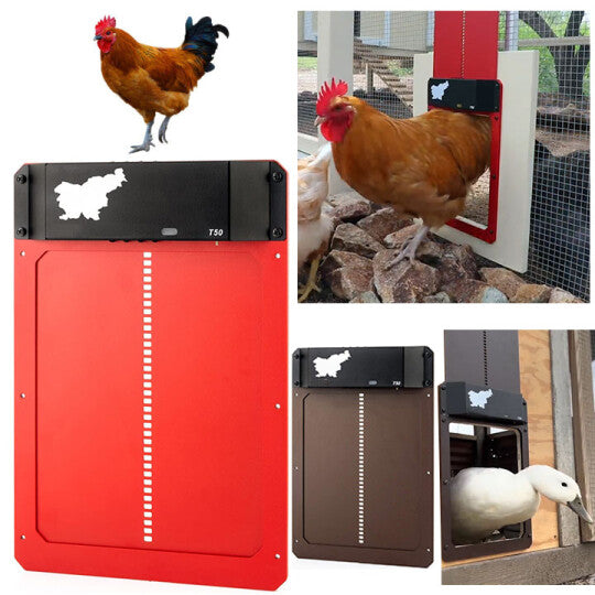 Poultry Farm Automatic Chicken House Door