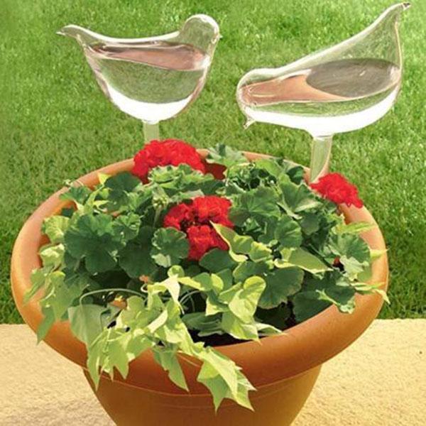 Self-Watering Plant Glass Bulbs-BUY 8 FREE SHIPPING