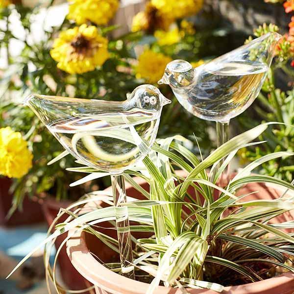 Self-Watering Plant Glass Bulbs-BUY 8 FREE SHIPPING